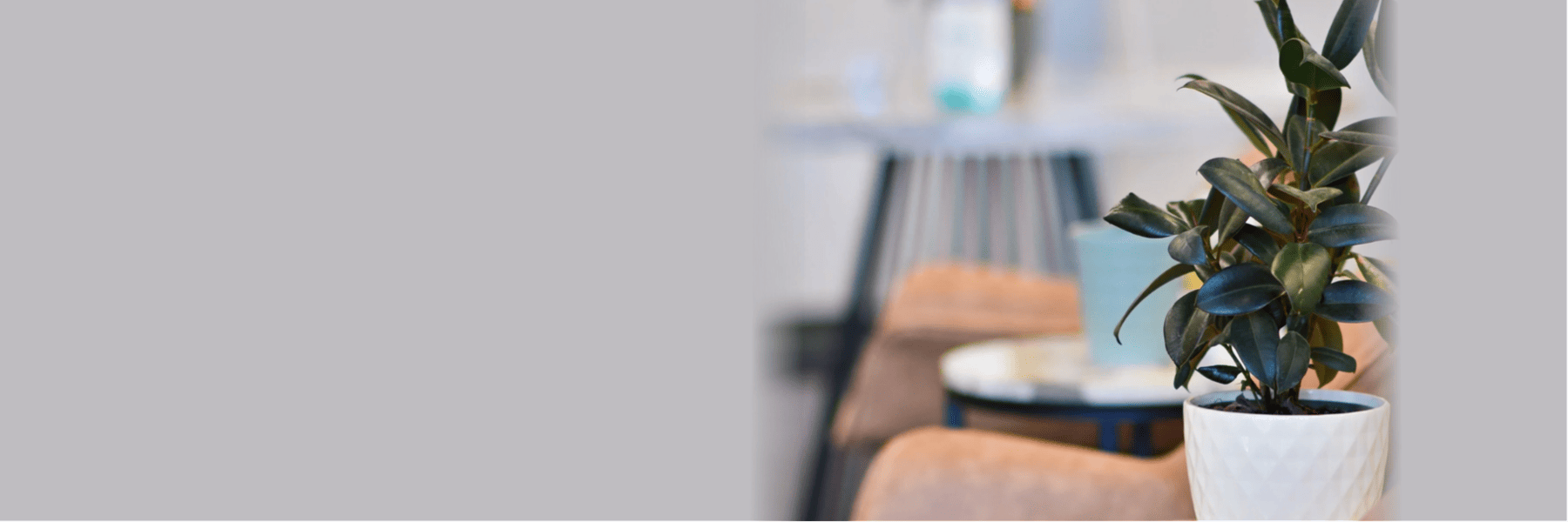 Cosmetic Dentistry | Dentist